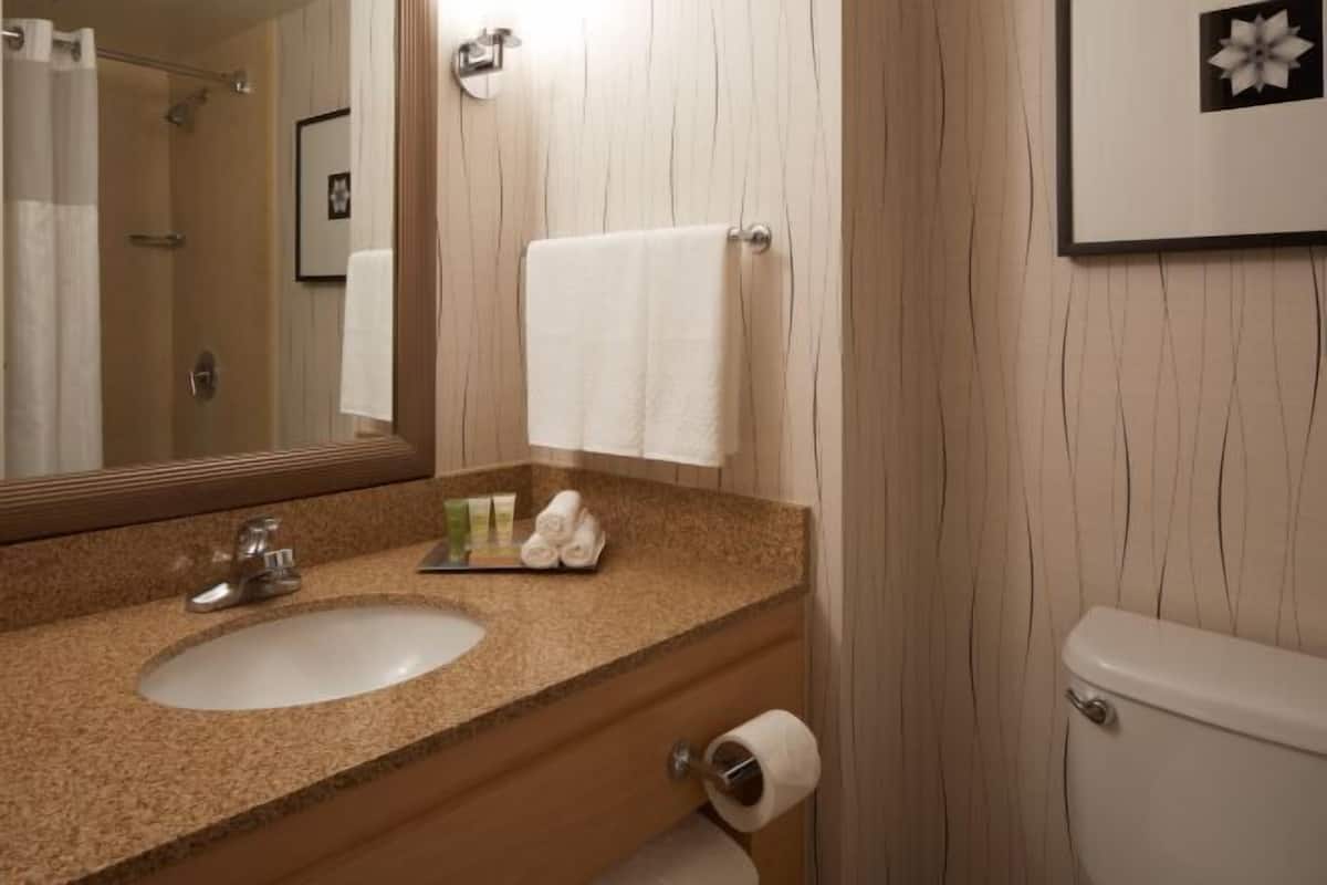 Articles de toilette écologiques, sèche-cheveux, serviettes fournies