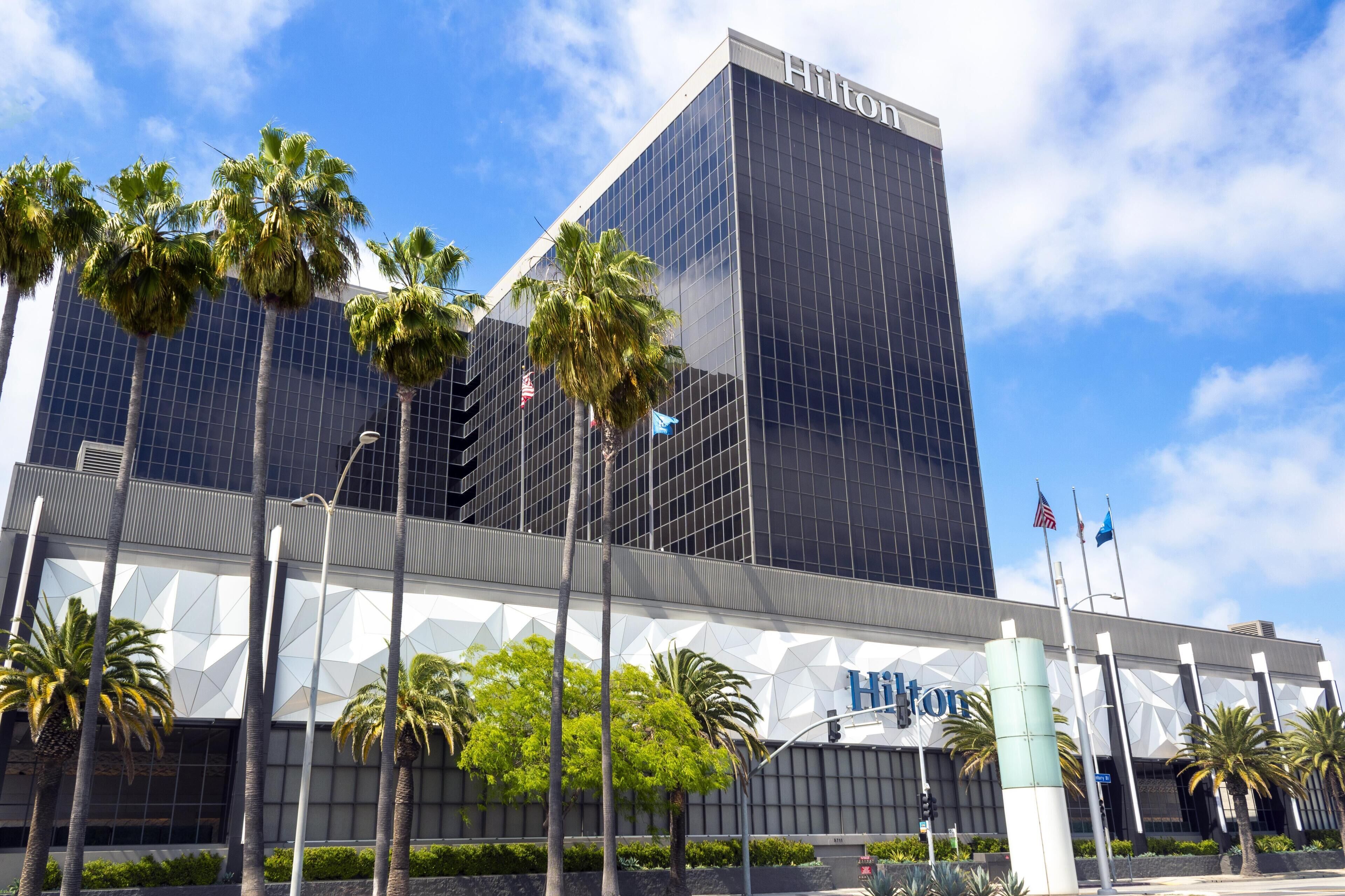Un hotel Hilton con fachada de vidrio moderna, palmeras en primer plano y banderas en el techo.