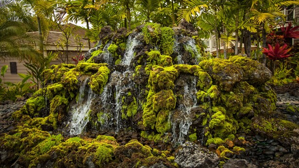 A waterfall with moss-covered rocks, surrounded by tropical plants and a building with a tiled roof. - Wailea Grand Champions - Maui Condo & Home (Kihei)