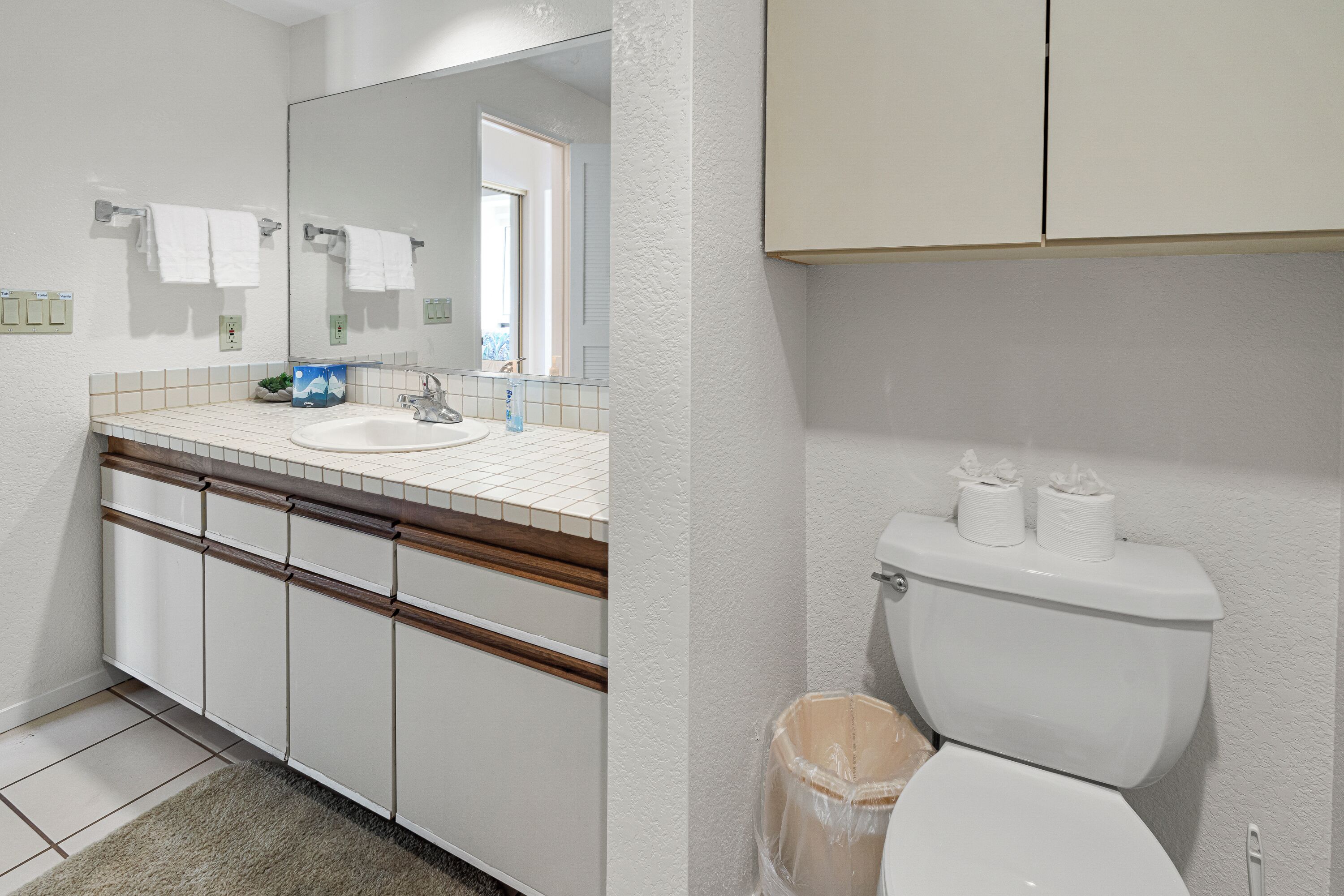 A bathroom with a white sink, mirror, and toilet. There is a trash can and a small plant on the counter.