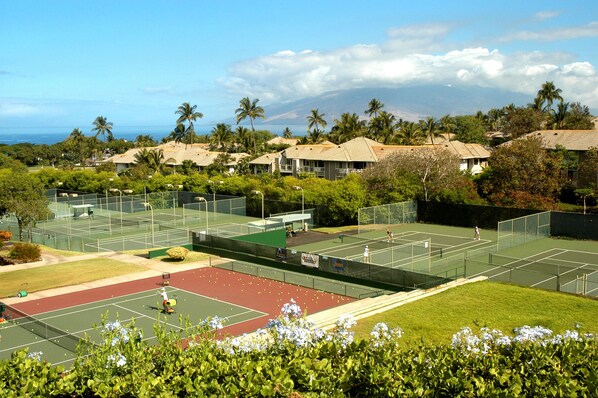 A tennis court complex with multiple courts, surrounded by lush greenery and palm trees.