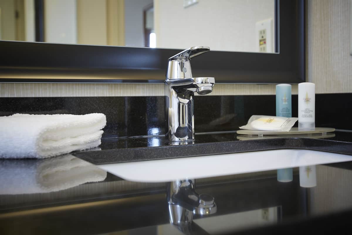 deluxe room, 2 queen beds, refrigerator & microwave, ground floor | bathroom | combined shower/bathtub, eco-friendly toiletries, hair dryer, towels