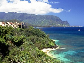 Beach/ocean view