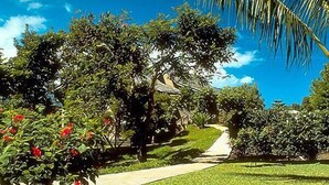 A pathway through a well-maintained garden with various trees and shrubs, leading to a building with a sloped roof. - Castle at Princeville (Princeville)