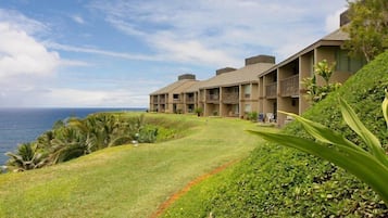 Un hôtel situé en bord de mer, composé de plusieurs bâtiments à étages, doté d’un sentier bordé de pelouse et offrant une vue sur l’océan.