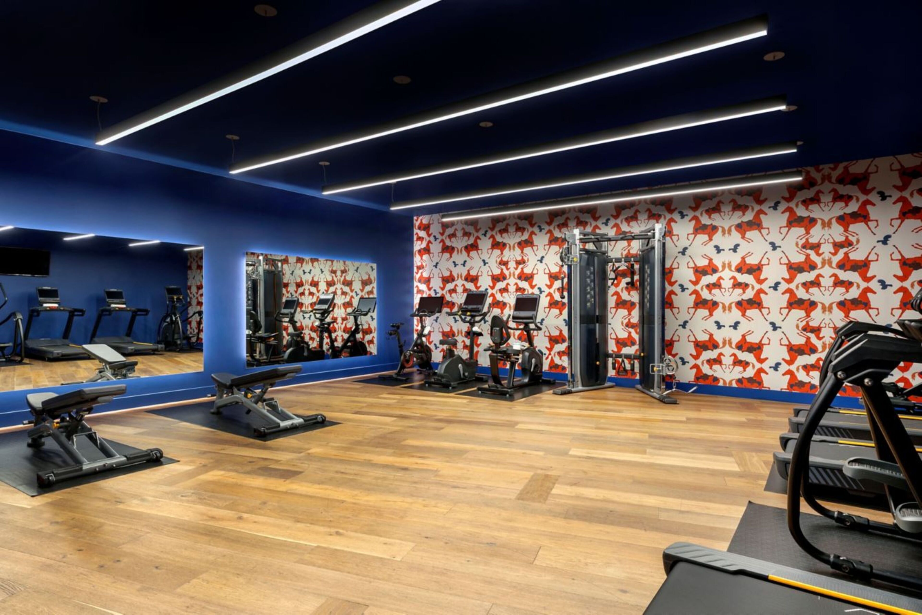 A gym with exercise equipment, wooden flooring, and a blue and red patterned wall.