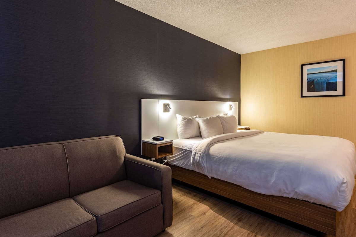 Habitación de hotel moderna con cama, mesita de noche, sofá y una lámpara fijada a la pared.