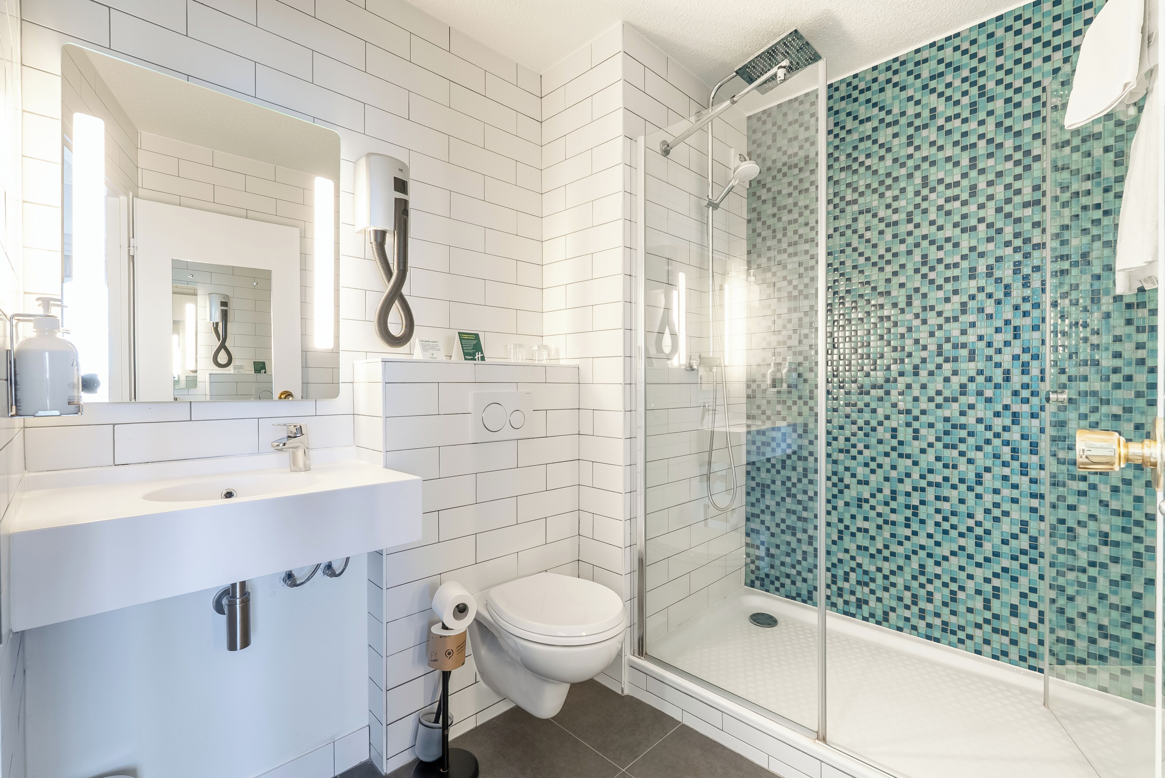 Eco-friendly toiletries, hair dryer, towels