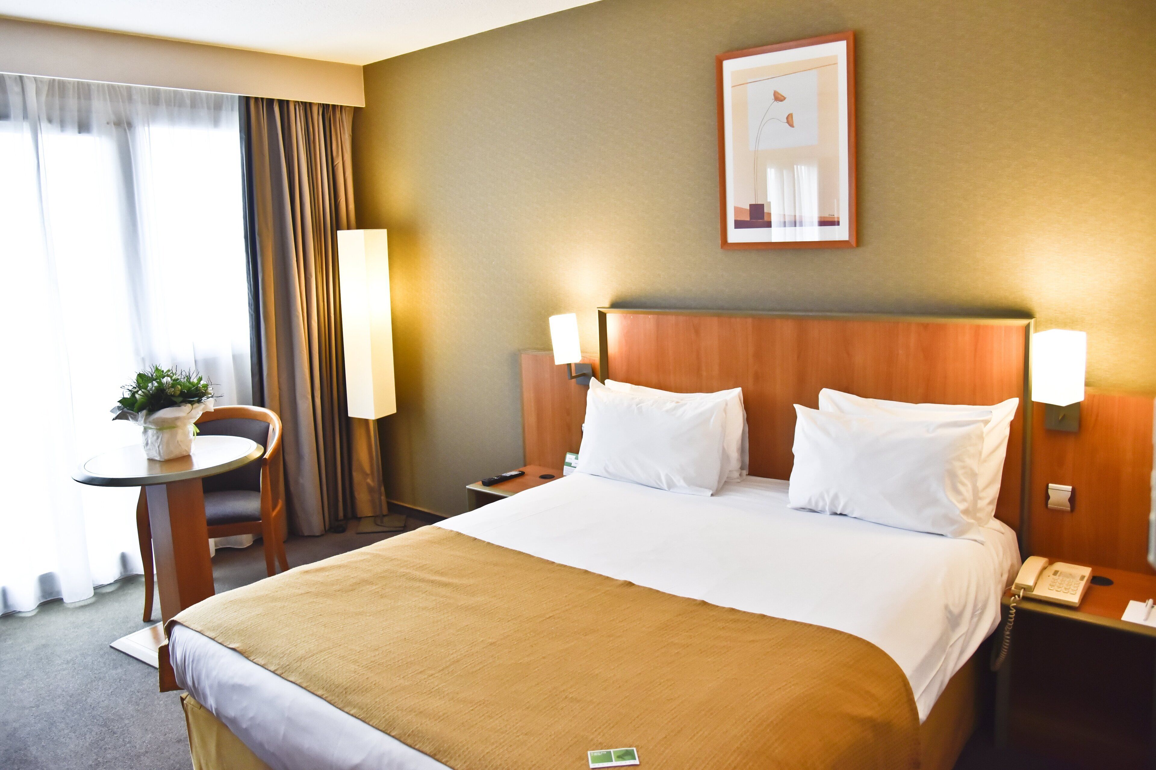 Habitación de hotel con una cama grande, una mesita de noche con una lámpara, una silla, una pequeña mesa con una planta y un cuadro en la pared.