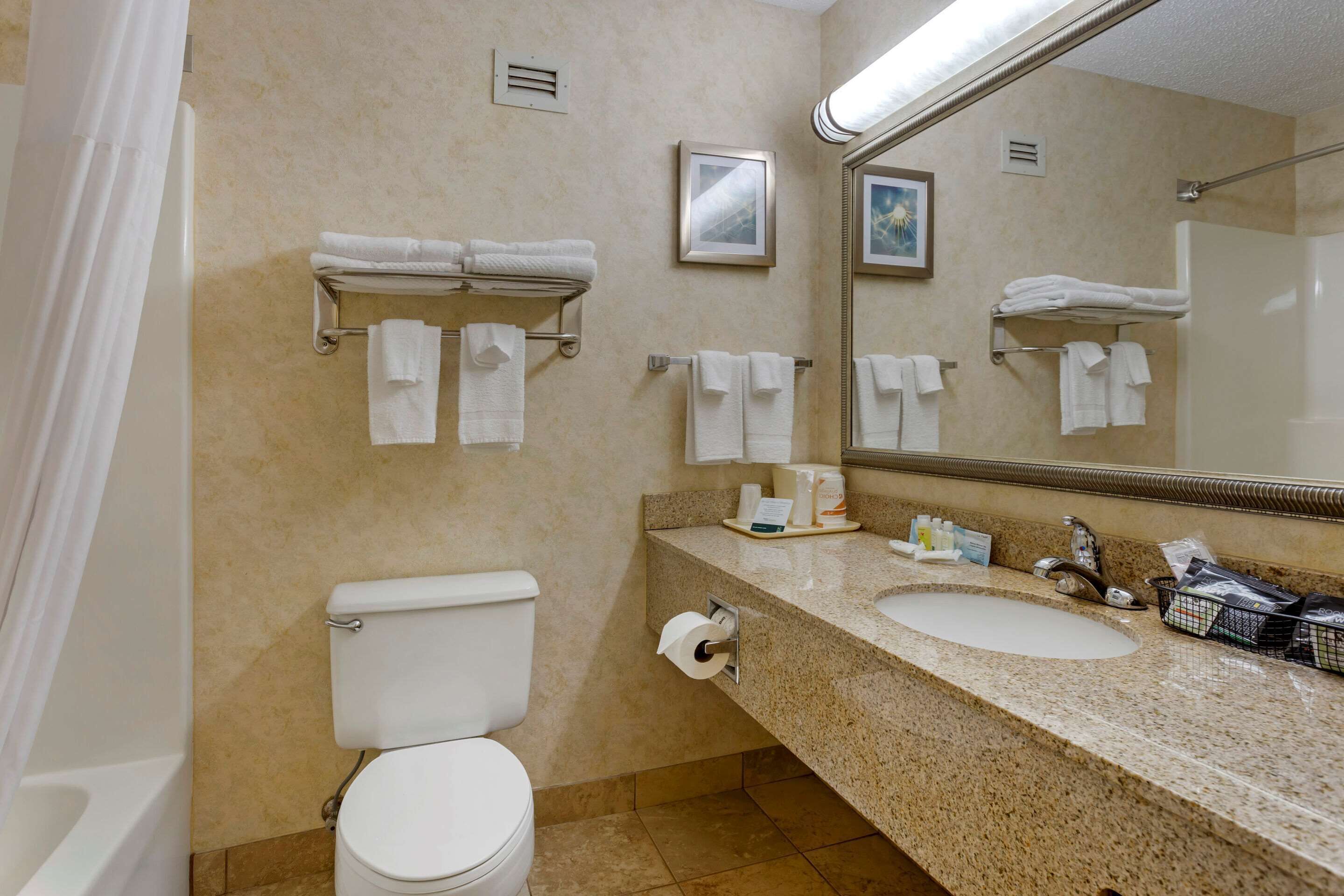 combined shower/bathtub, free toiletries, hair dryer, towels