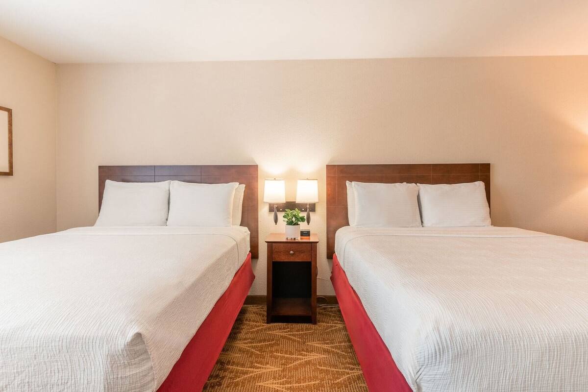 Una habitación de hotel con dos camas, una mesita de noche con una lámpara y una planta pequeña.