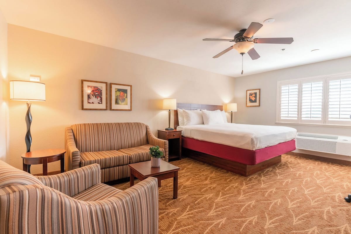 A hotel room with a bed, two striped armchairs, a small table with a plant, two bedside lamps, and a ceiling fan.