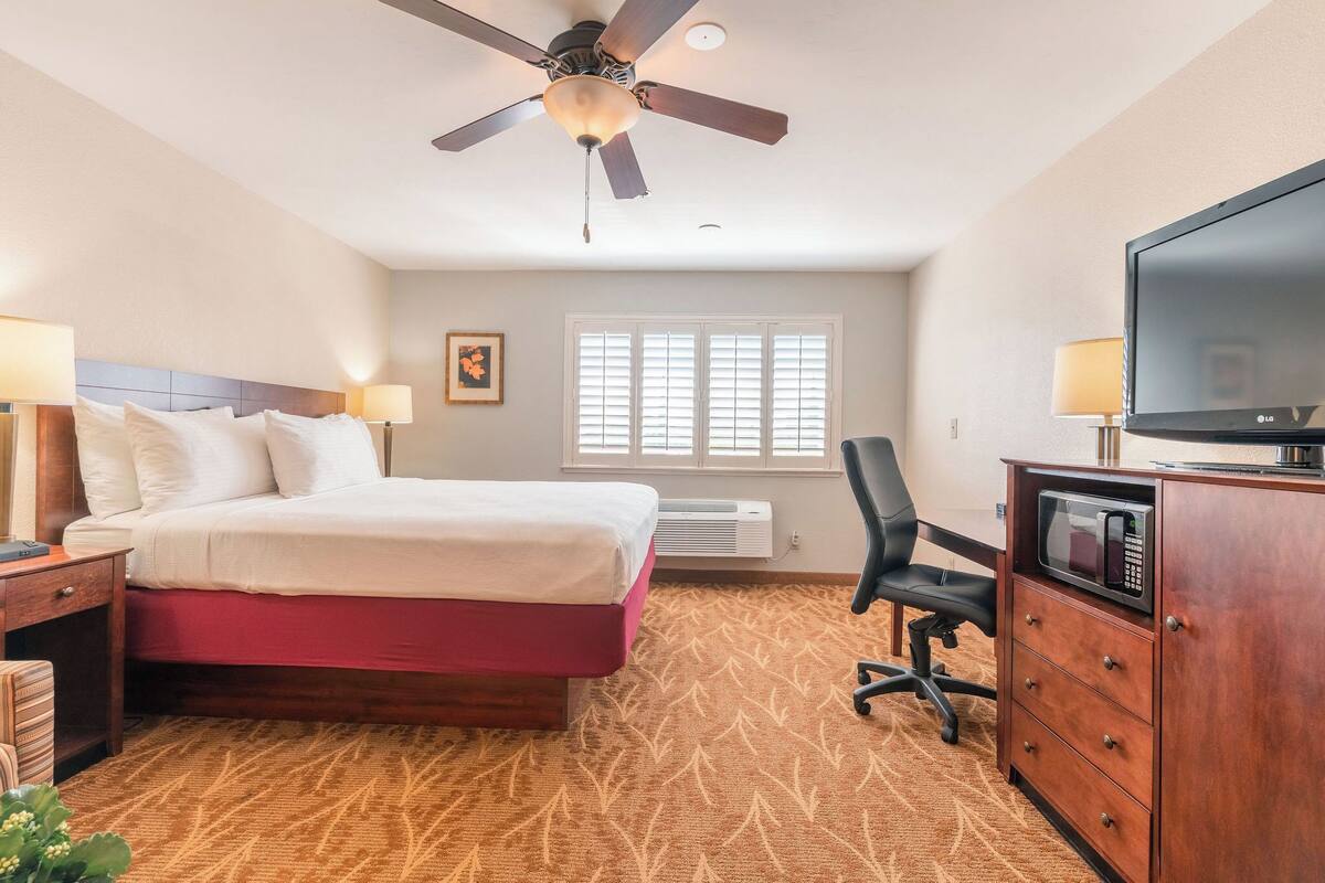A hotel room with a bed, a desk with a computer, a television, a ceiling fan, and a window with blinds.