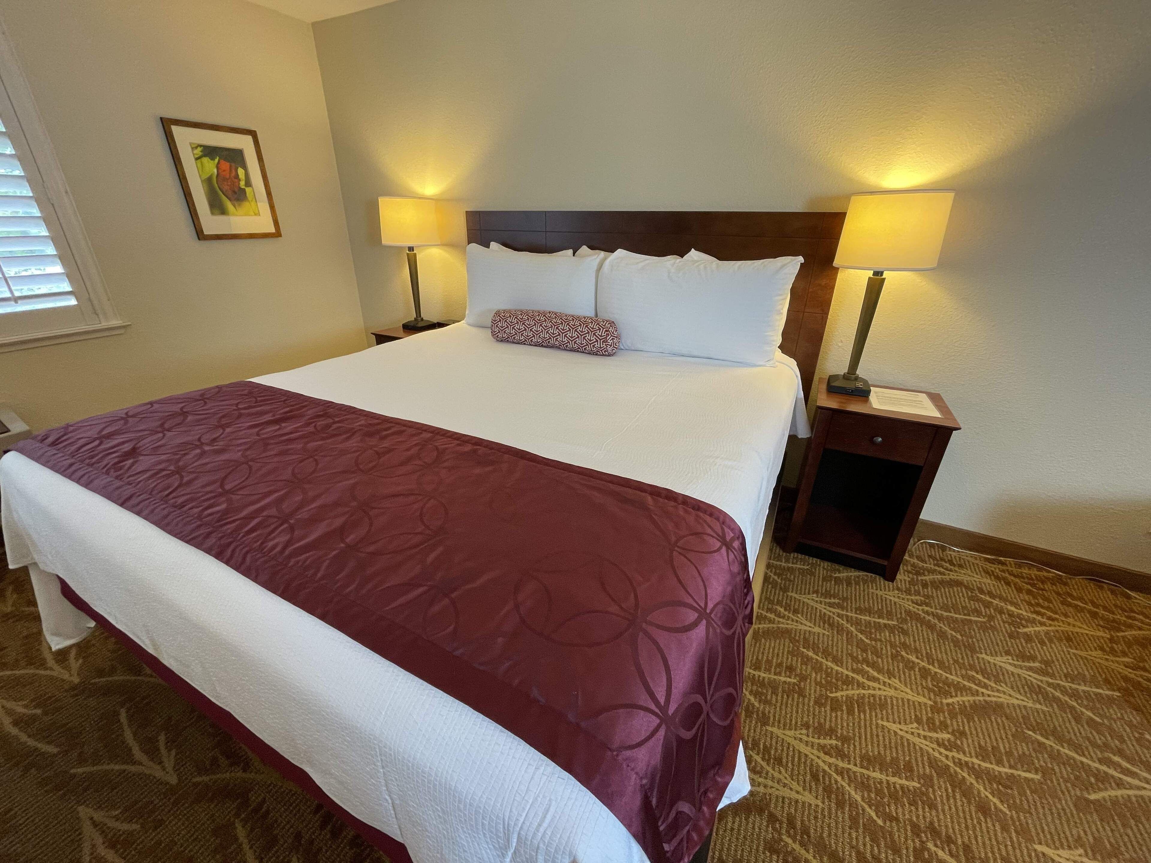 standard room, 1 king bed | 1 bedroom, desk, iron/ironing board, free wifi