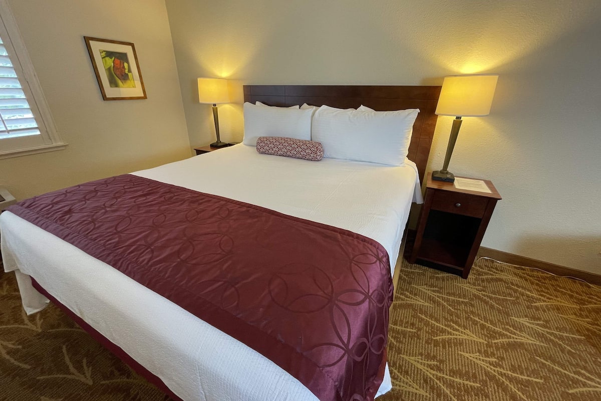 standard room, 1 king bed | 1 bedroom, desk, iron/ironing board, free wifi