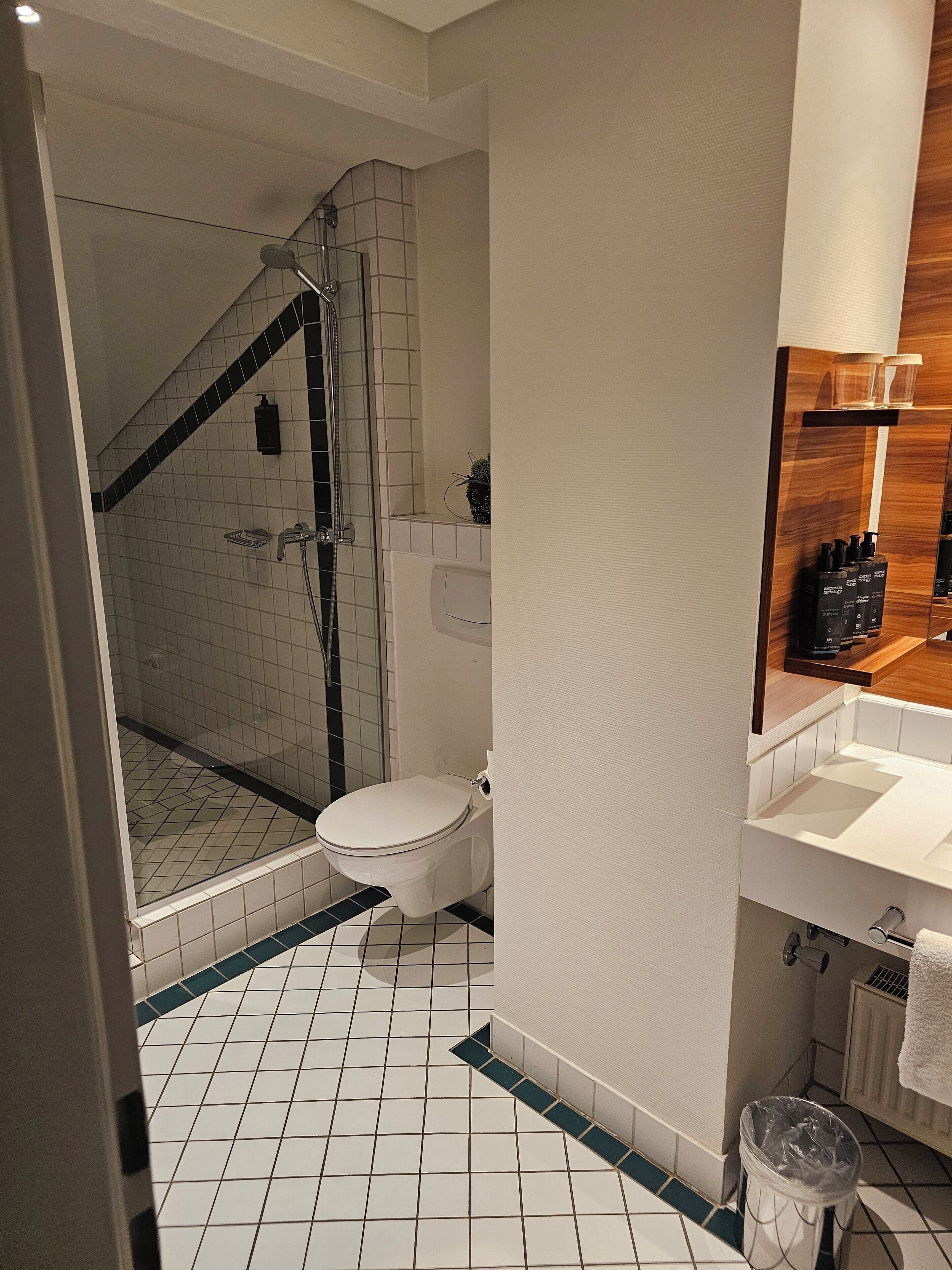 Milieuvriendelijke toiletartikelen, een haardroger, handdoeken