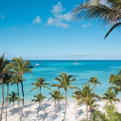 1 多间卧室、客房内保险箱、办公桌、熨斗/熨衣板