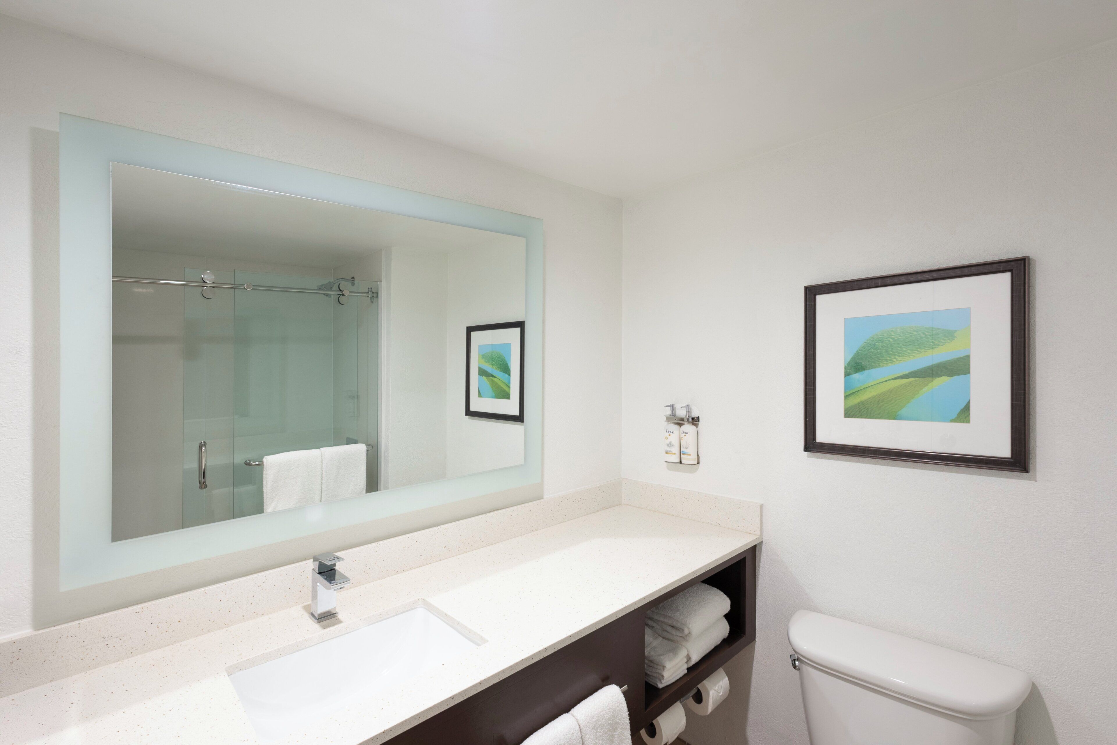 A bathroom with a large mirror, a white sink, a toilet, and a framed picture on the wall.