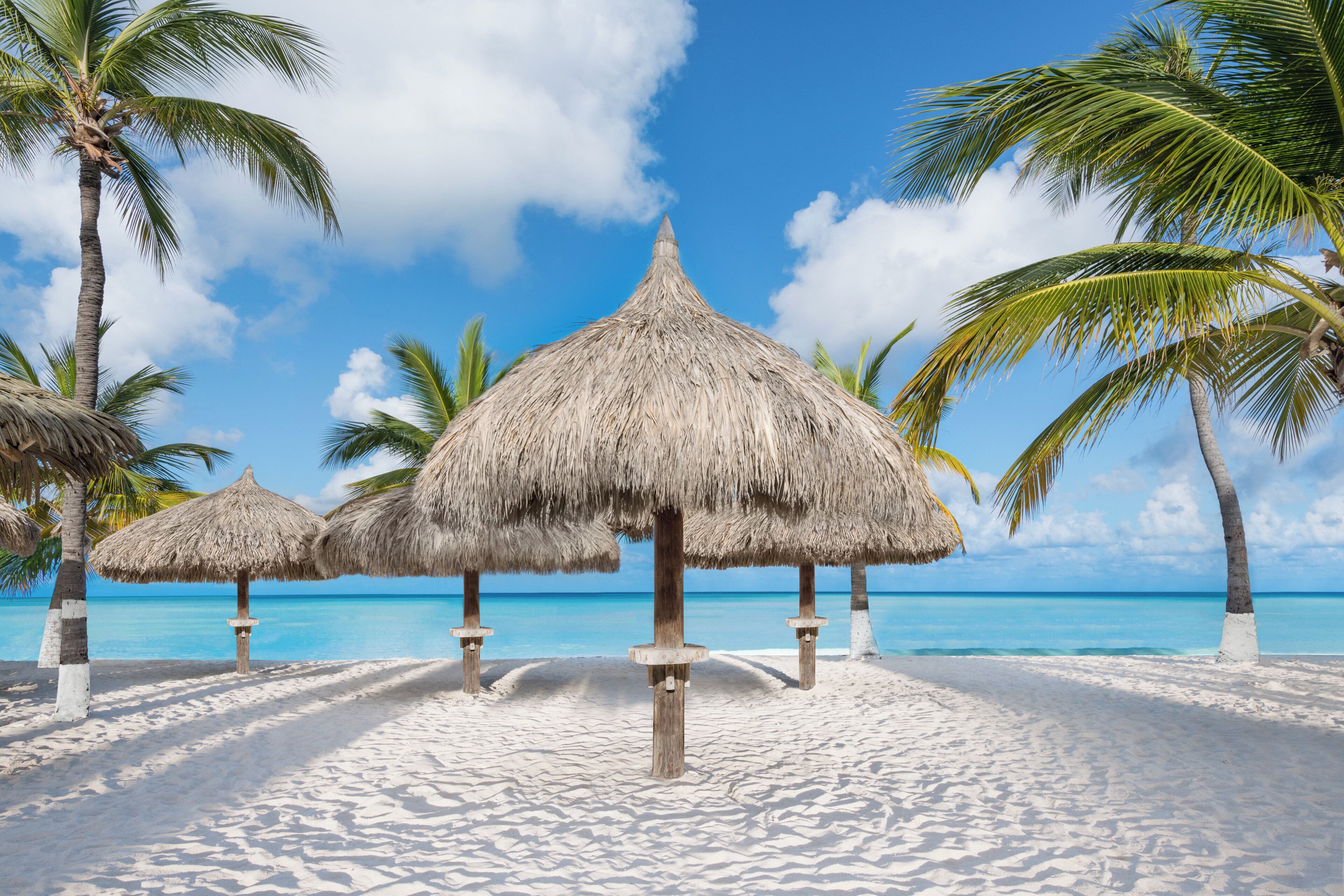 A beach with thatched umbrellas and palm trees.