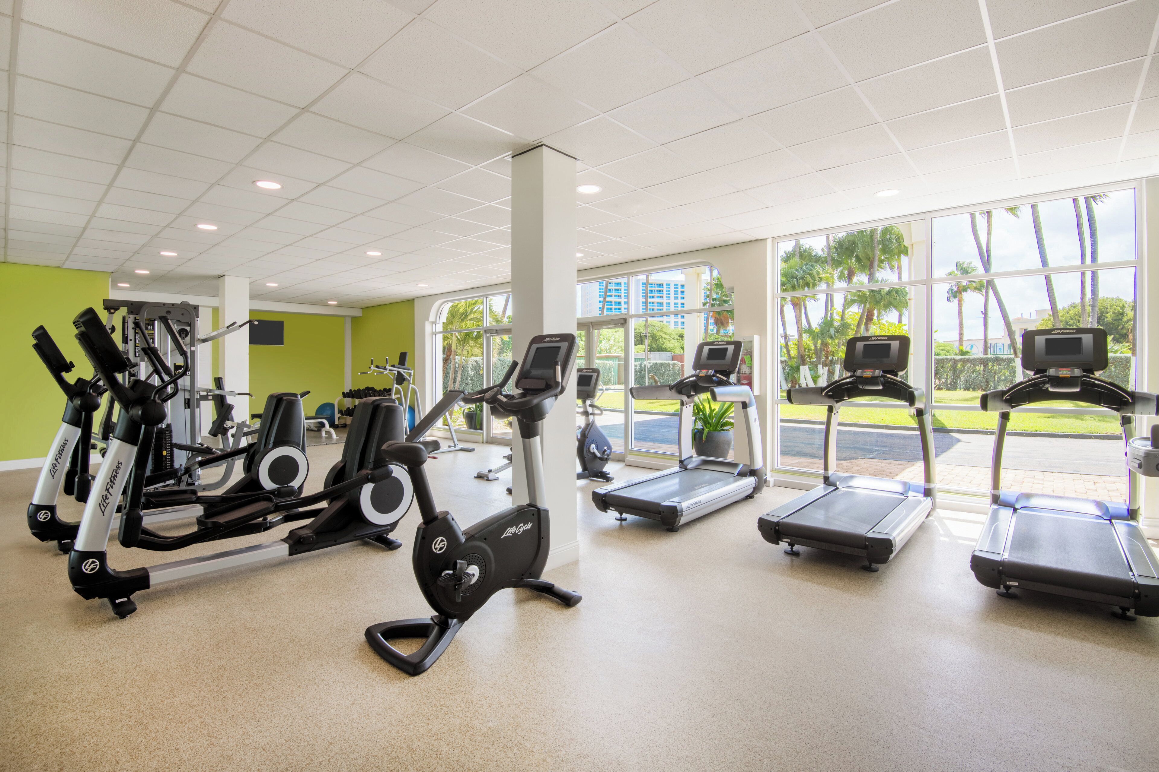 Un gimnasio con máquinas de cardio, una banca para pesas y amplias ventanas que ofrecen vistas a palmeras y edificios.
