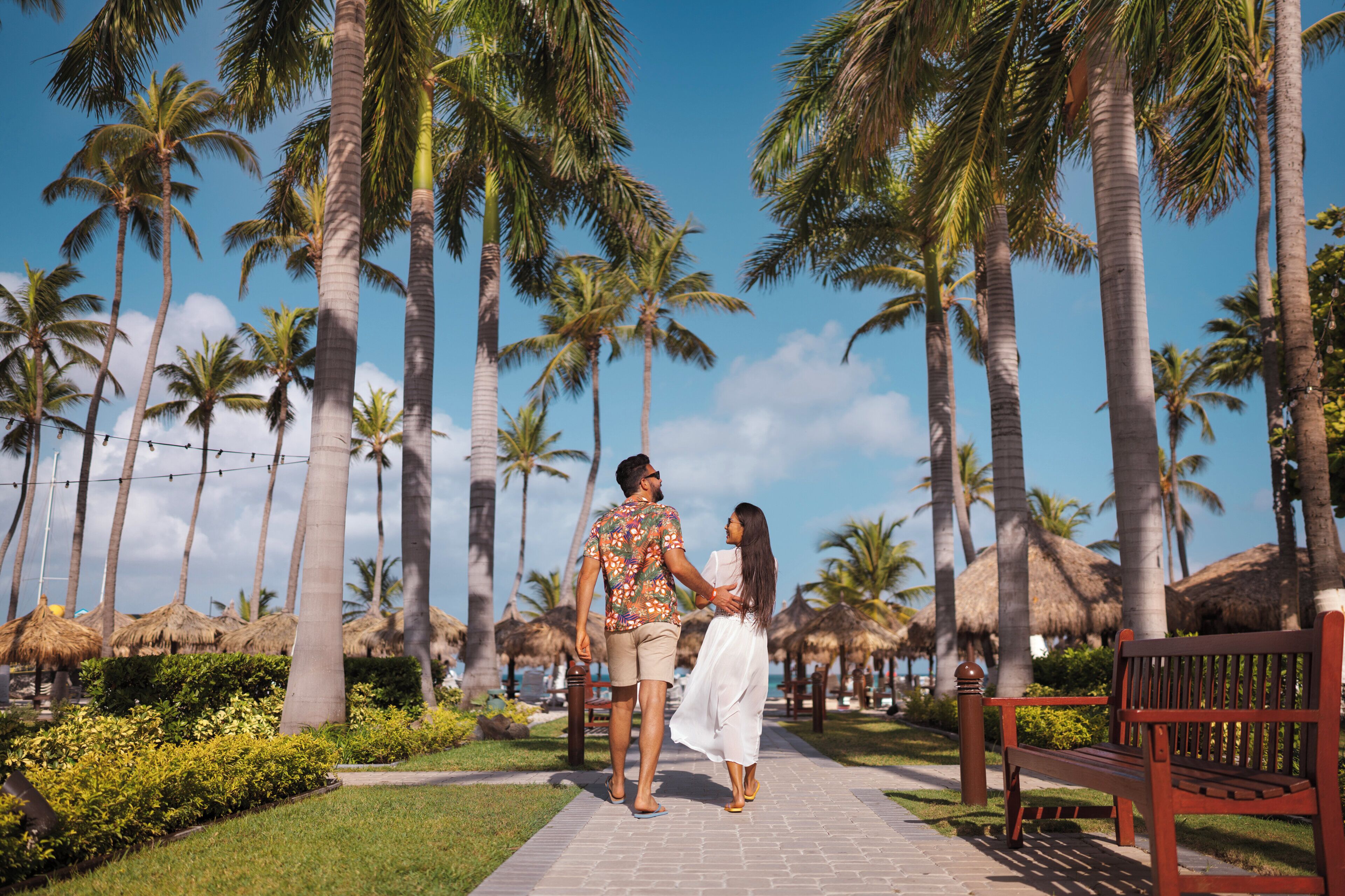Um caminho bordeado por palmeiras e um banco, evocando um ambiente de resort ou hotel.