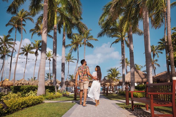 A pathway lined with palm trees and a bench, suggesting a resort or hotel setting.