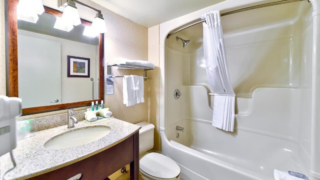 combined shower/bathtub, free toiletries, hair dryer, towels