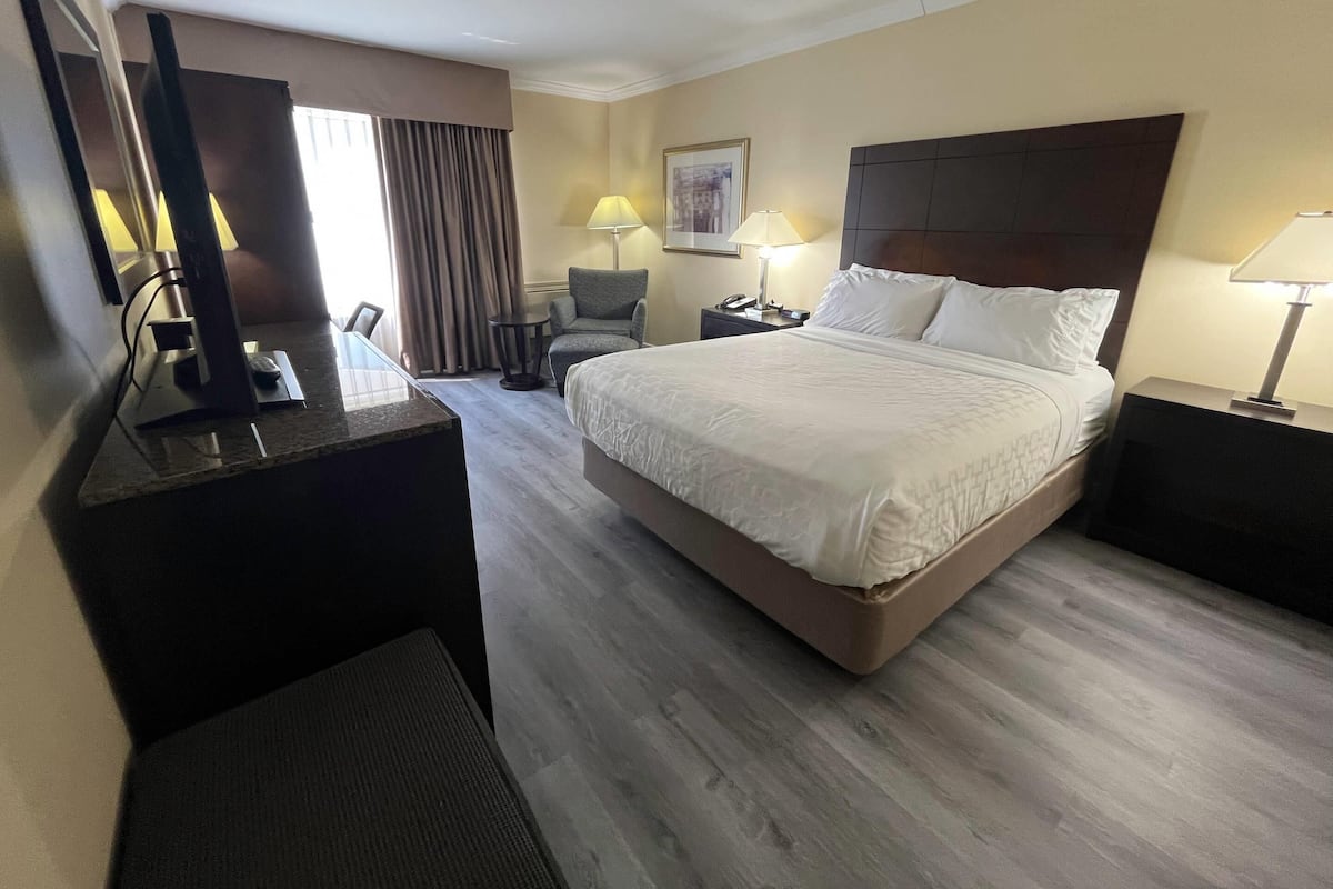 Standard Room, 1 King Bed, Non Smoking | Desk, soundproofing, iron/ironing board, free cribs/infant beds