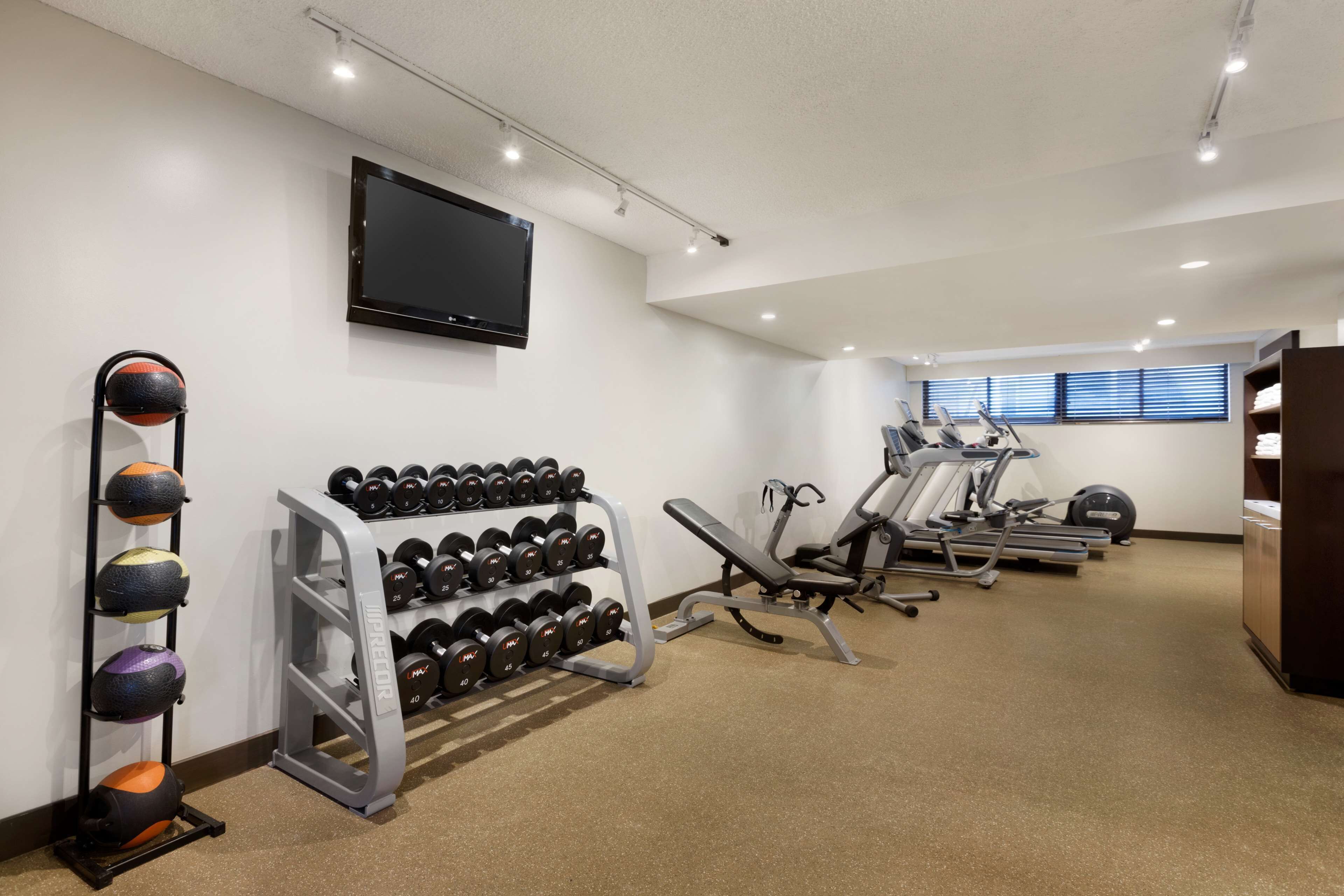 A gym with dumbbells, a bench, and cardio machines.