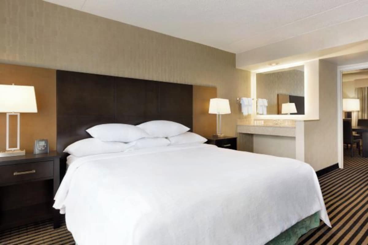Habitación de hotel con una cama grande, mesitas de noche con lámparas, un espejo y piso alfombrado.
