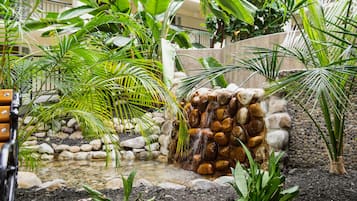 A garden with a small waterfall, surrounded by various tropical plants and a stone wall.