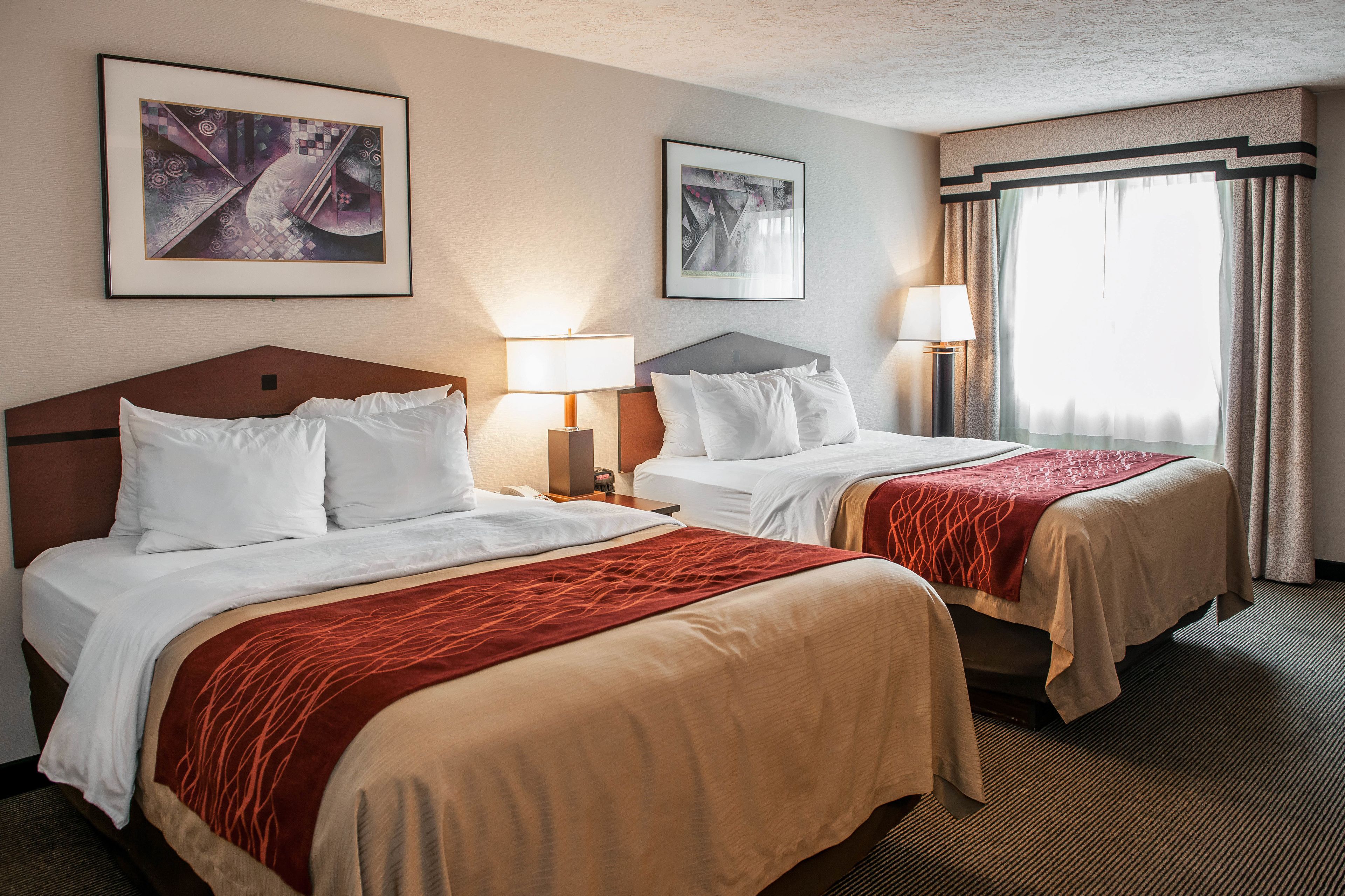 Photo - Comfort Inn Indianapolis South I-65