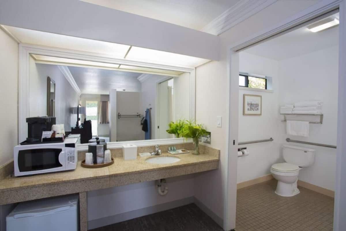 A hotel bathroom with a sink, mirror, microwave, toilet, and a small plant.