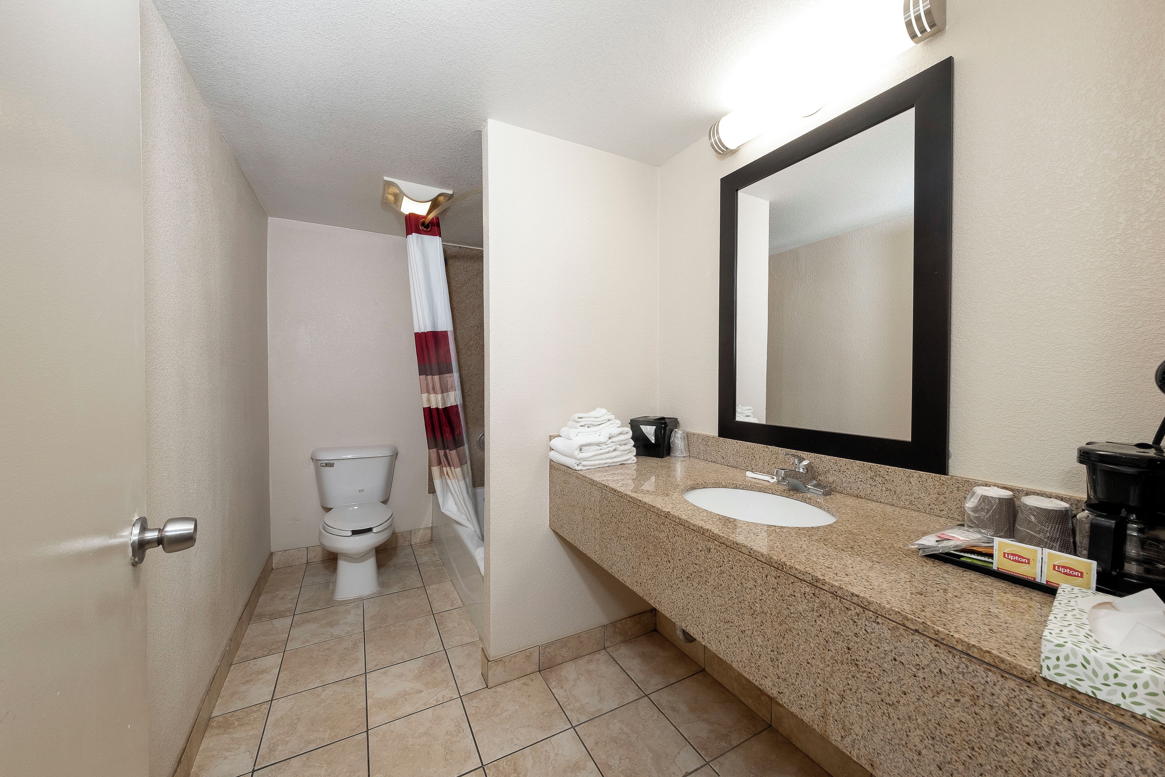 A bathroom with a toilet, sink, mirror, and shower curtain.