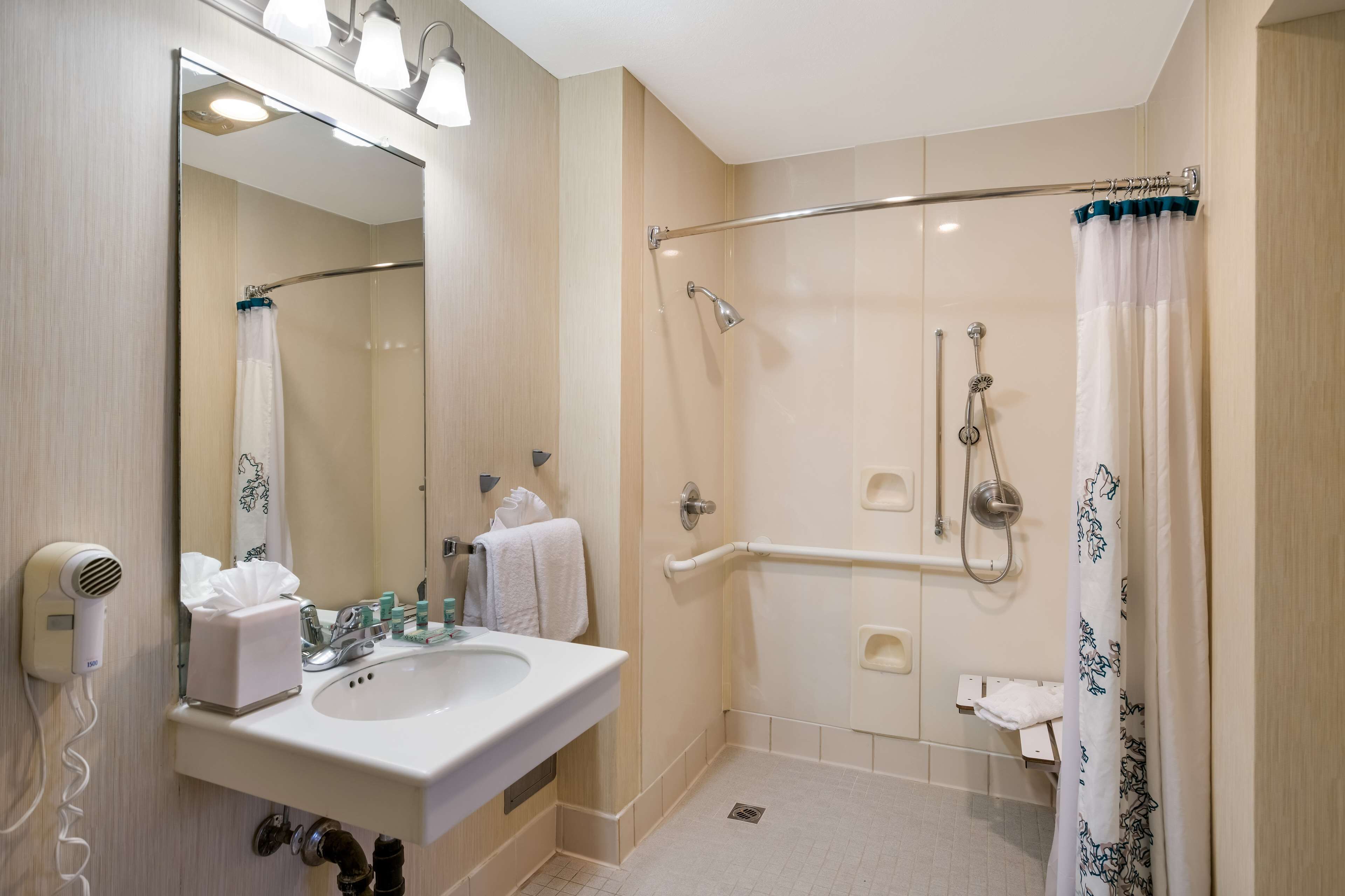 suite, 1 king bed, accessible, kitchen (with sofabed, full kitchen) | bathroom | combined shower/bathtub, eco-friendly toiletries, hair dryer, towels