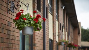 A row of hanging flower baskets with red flowers against a brick building facade. - Comfort Inn Sept-Iles - Cotes Nord (Sept-Iles)