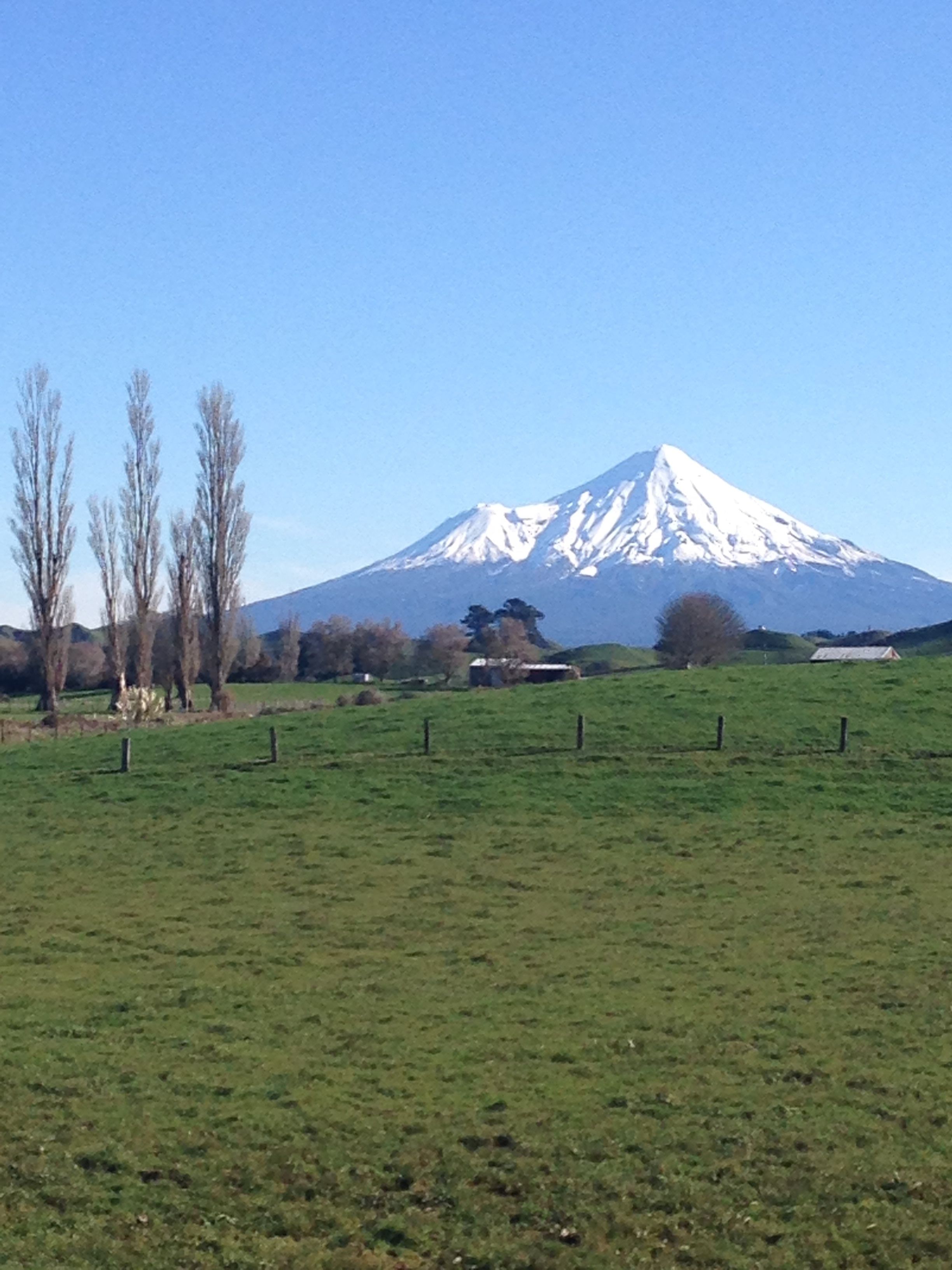 A green field with a snow-capped mountain in the background.