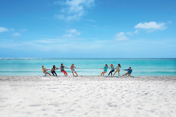 Ropes course (team building)