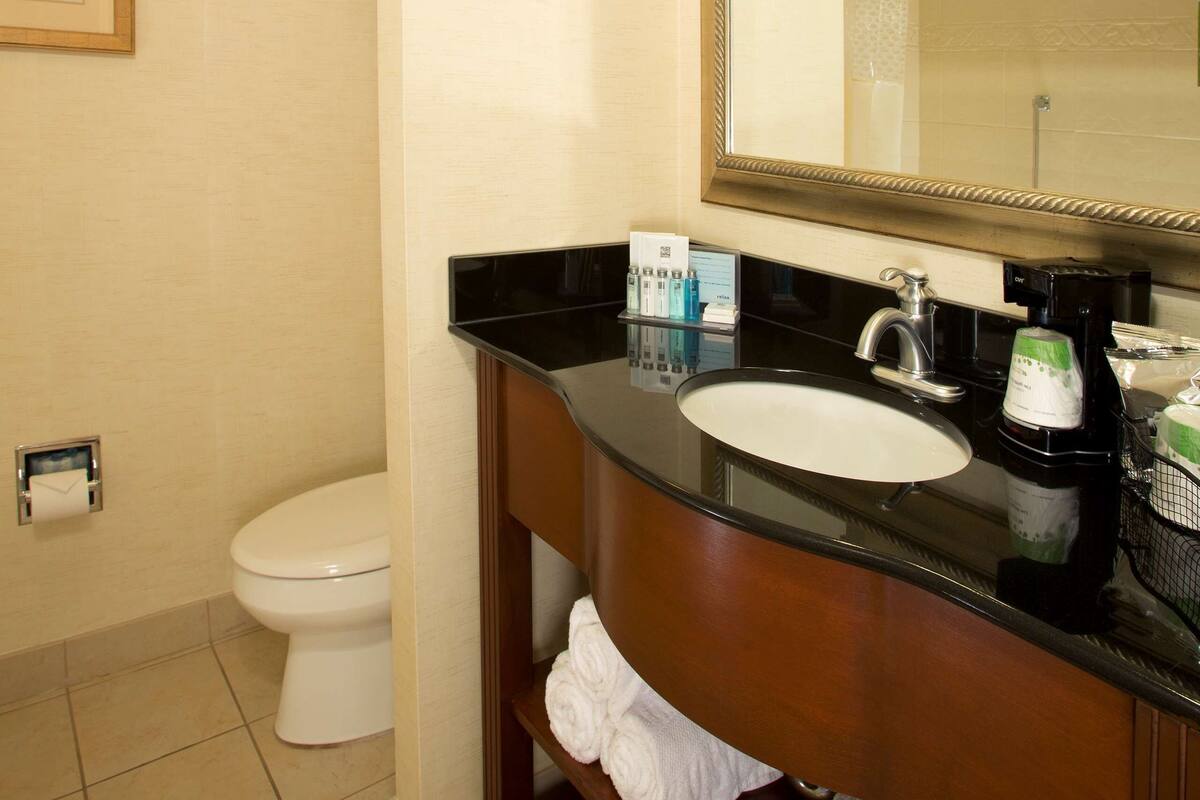 A bathroom with a white toilet, a sink with a black countertop, and a large mirror.