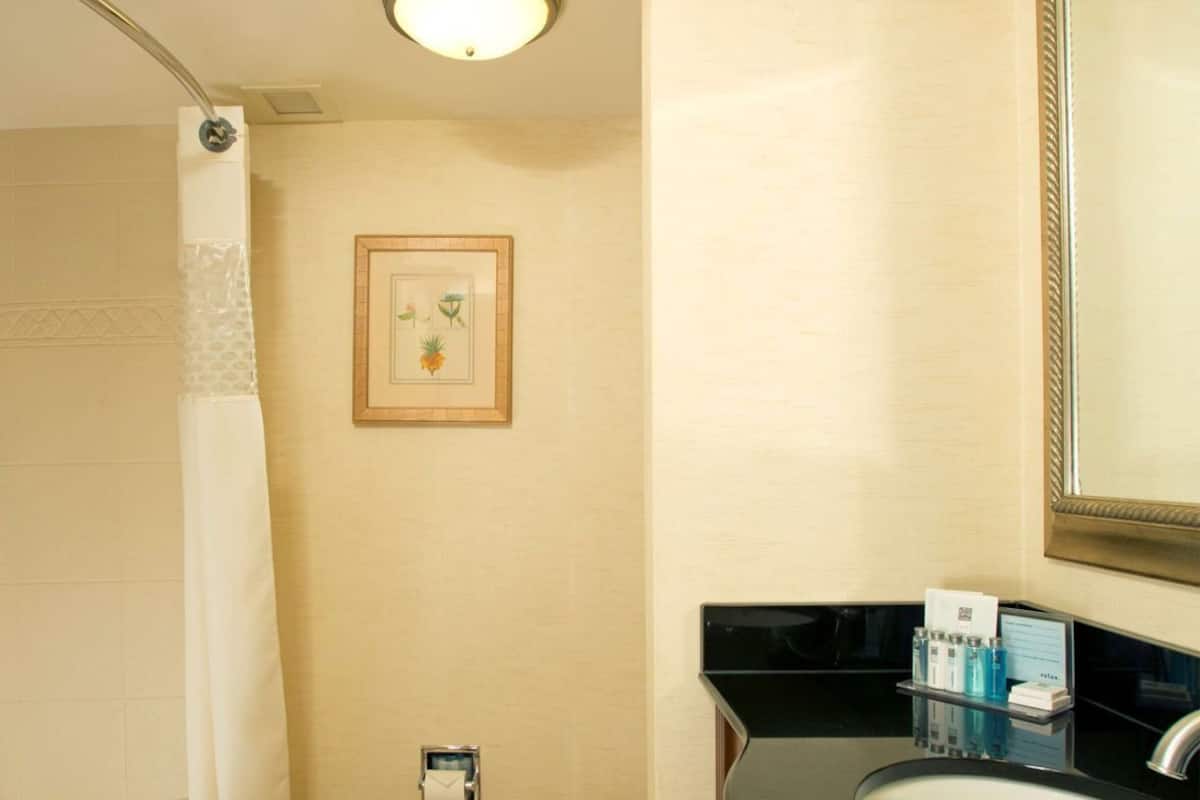 Salle de bain | Ensemble baignoire-douche, articles de toilette (gratuits)