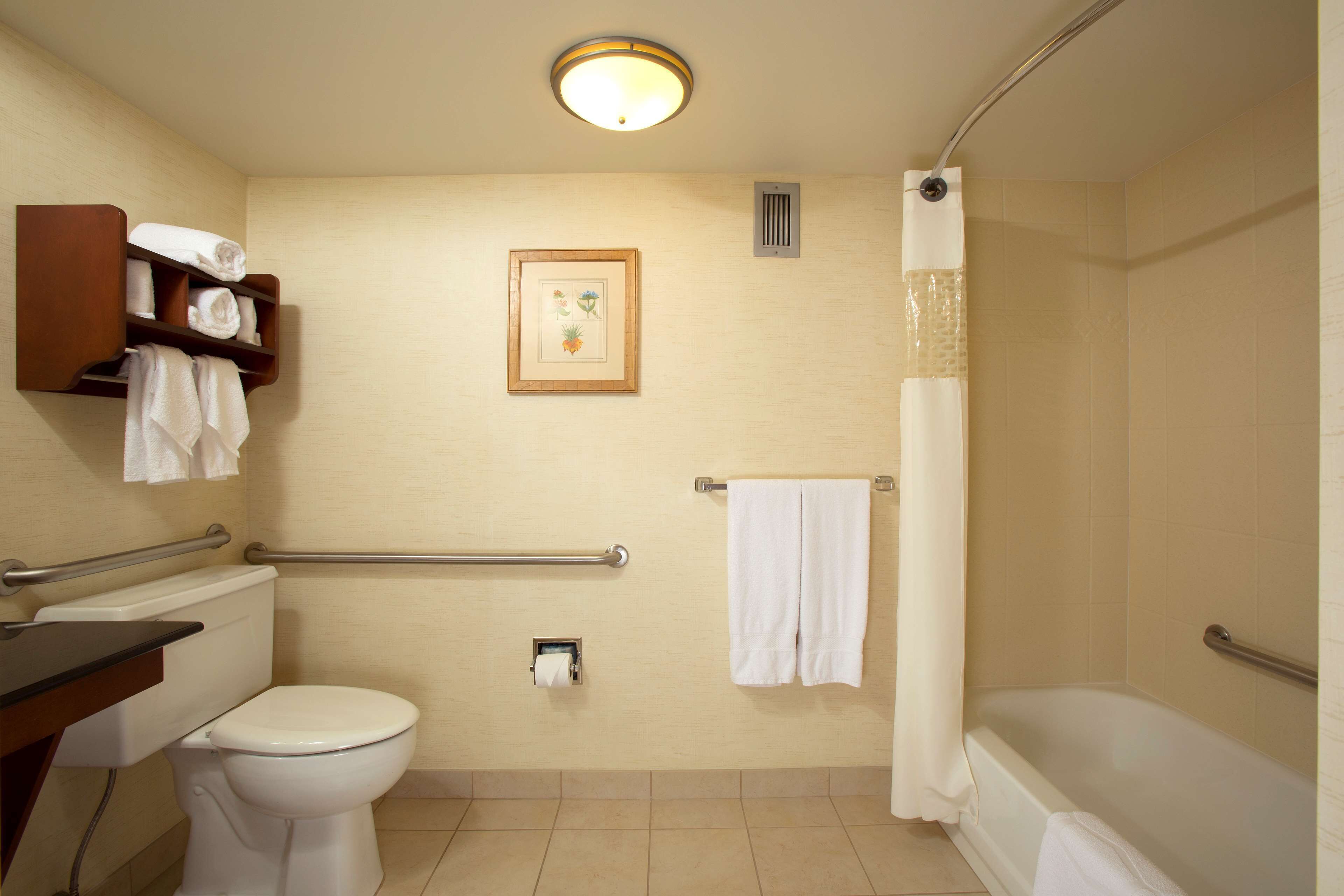room, 1 king bed, accessible, non smoking | bathroom | combined shower/bathtub, free toiletries, hair dryer, towels