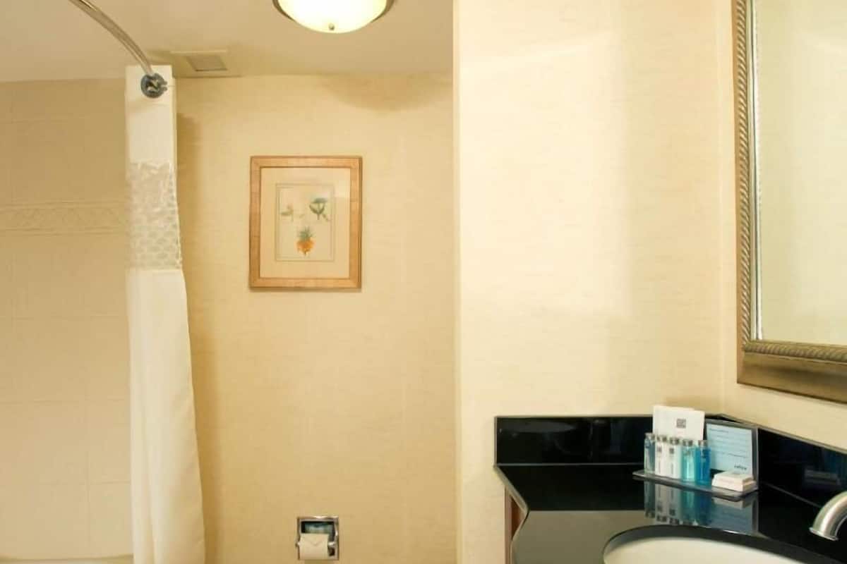Ensemble baignoire-douche, articles de toilette (gratuits)