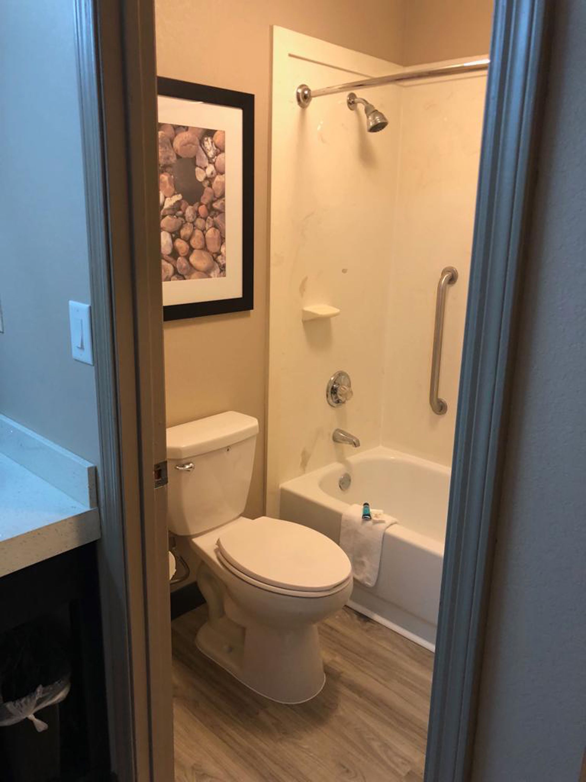 Un baño con inodoro, ducha y un cuadro en la pared.