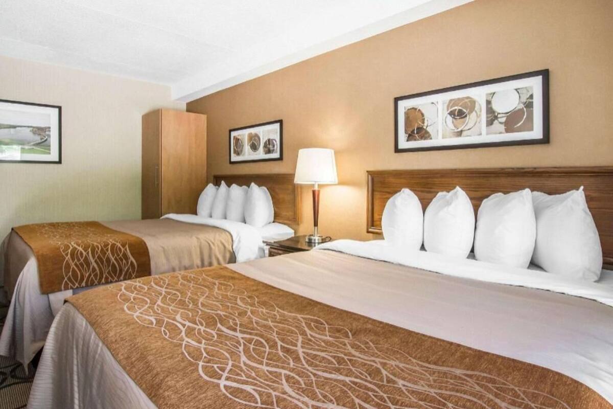 Une chambre d’hôtel avec deux lits, une table de chevet, une lampe et des œuvres d’art encadrées accrochées aux murs.