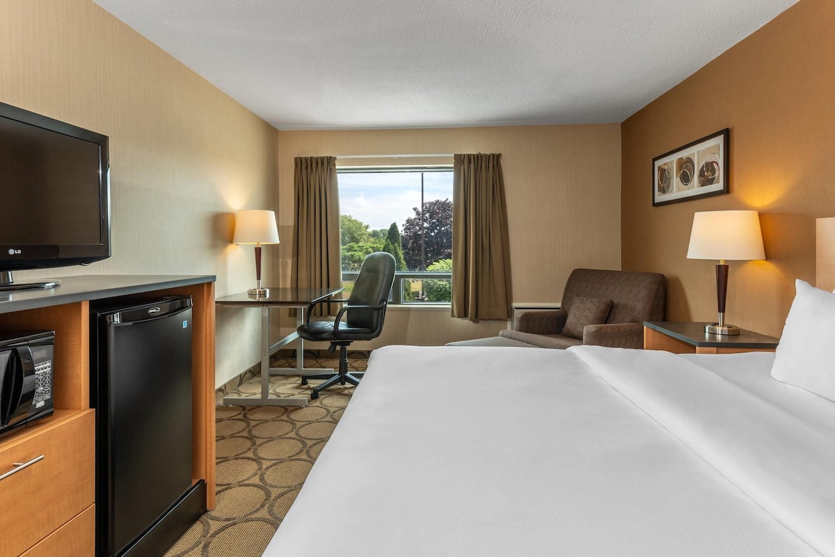 Une chambre d’hôtel équipée d’un lit, d’un bureau, d’une chaise, d’une télévision et d’une fenêtre avec des rideaux.