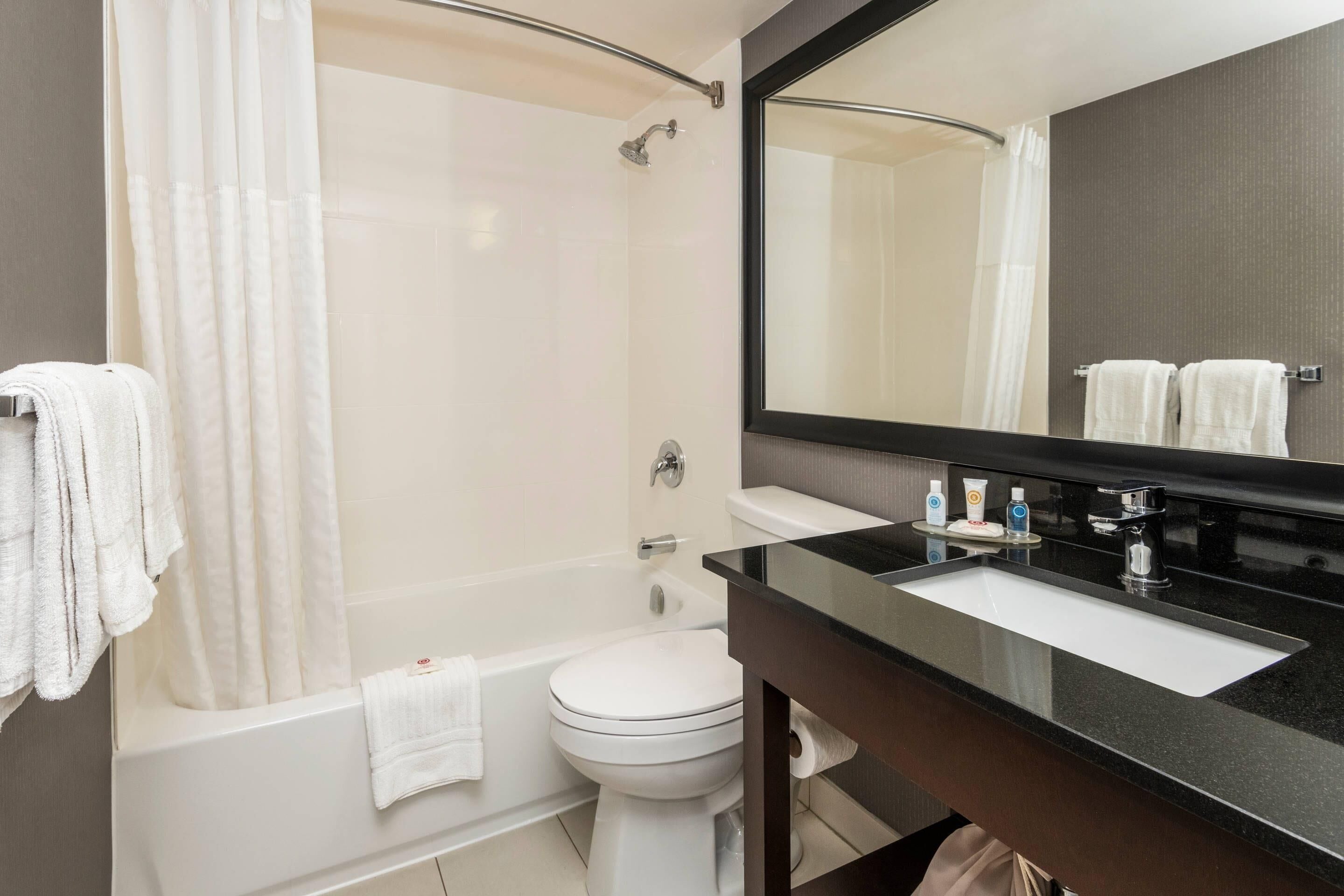 Un baño moderno con bañera, inodoro y un espejo grande.