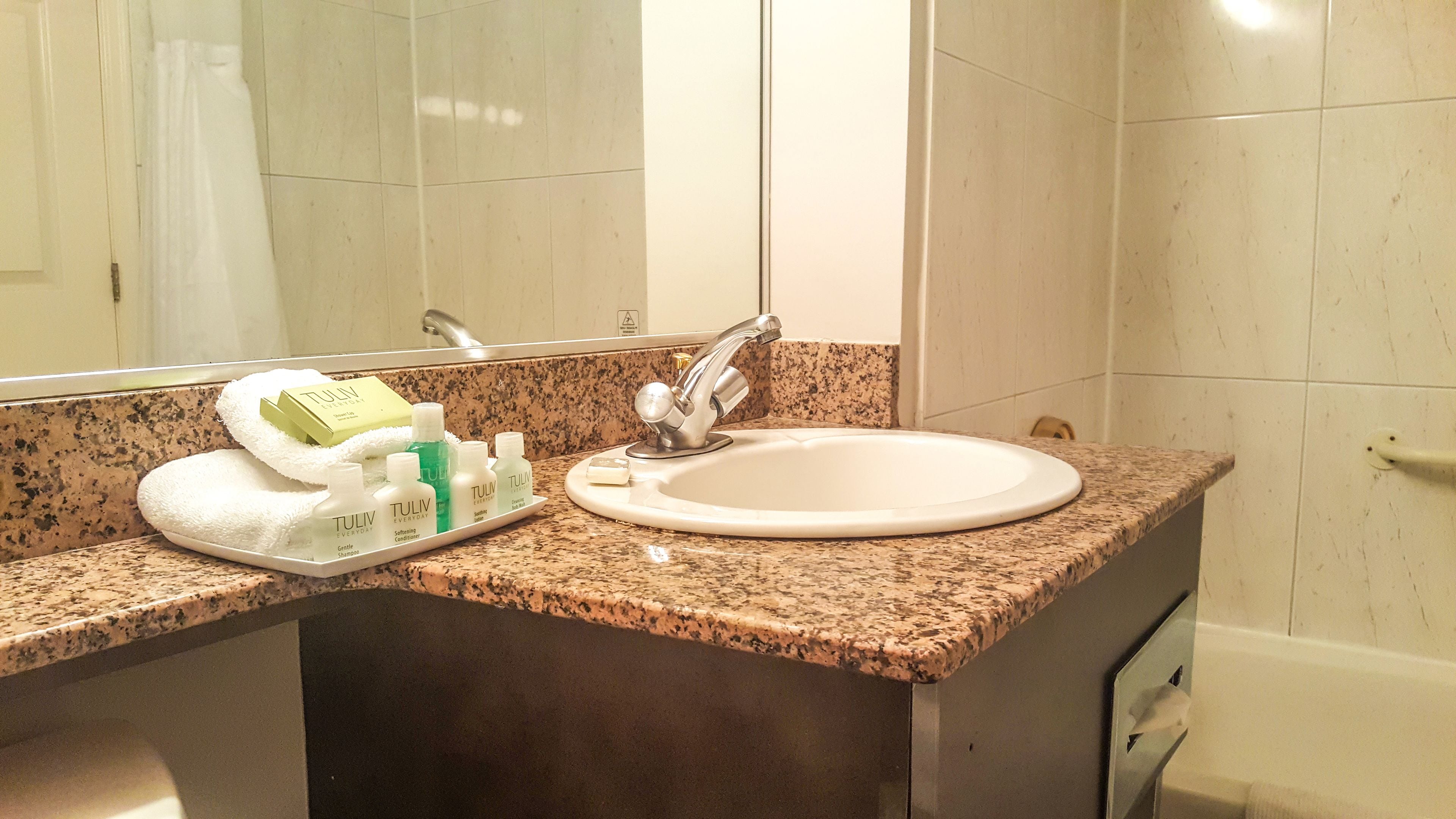 combined shower/bathtub, free toiletries, hair dryer, towels
