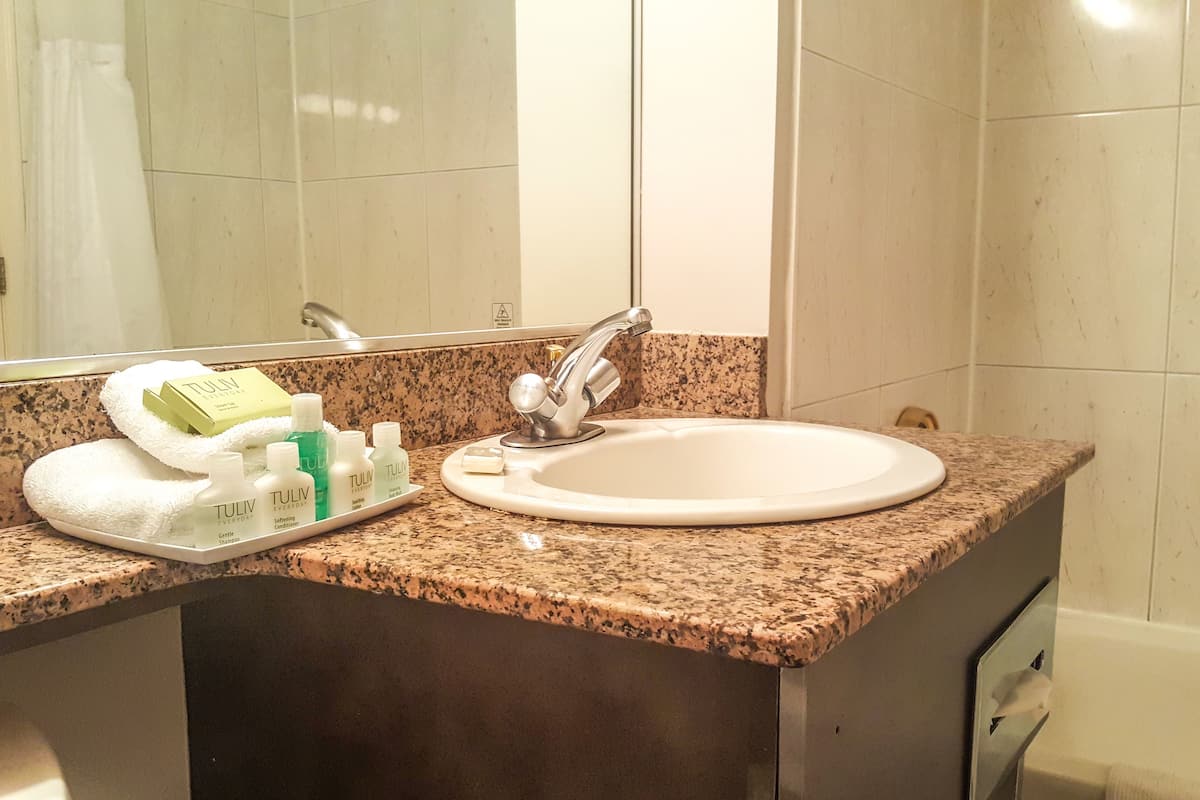 combined shower/bathtub, free toiletries, hair dryer, towels