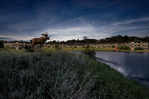 A moose statue in a grassy area with a body of water and a row of buildings in the background. - Quality Inn & Suites Black River Falls I-94 (Black River Falls)