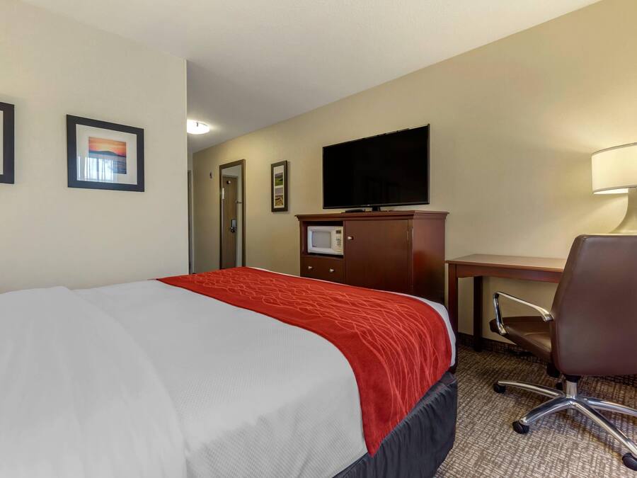 Una habitación de hotel con cama, escritorio, silla, televisor y lámpara.